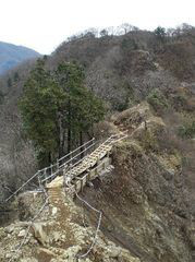 春の丹沢塔ノ岳・尊仏山荘への登山ルート