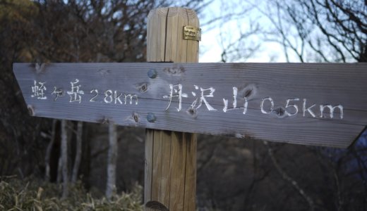 1月の丹沢・丹沢山から丹沢最高峰の蛭ヶ岳へ。クマザサが揺れる