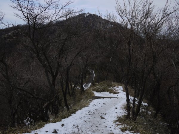 冬の丹沢・塔ノ岳〜丹沢山〜鍋割山